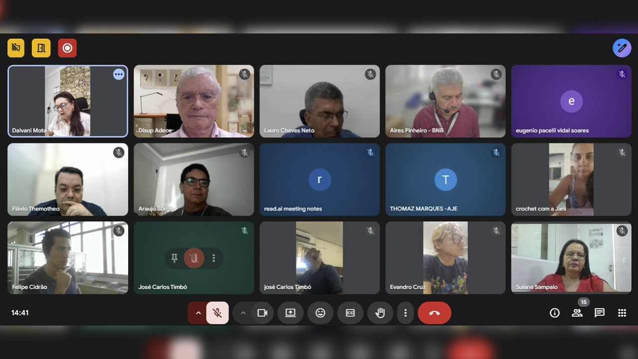 Conselheira do CRA-CE participa de reunião da Câmara Setorial do Comércio e Serviços